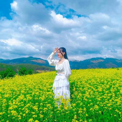 Đà Lạt 4 mùa hoa 5